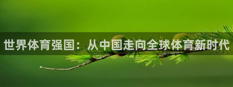 世界体育强国：从中国走向全球体育新时代
