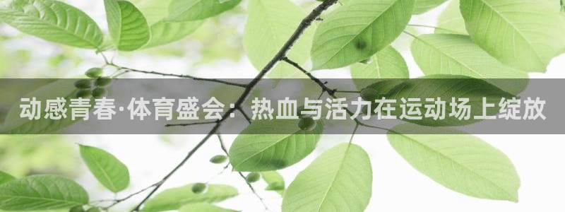 动感青春·体育盛会：热血与活力在运动场上绽放