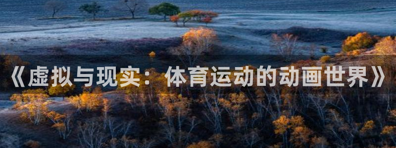 《虚拟与现实：体育运动的动画世界》