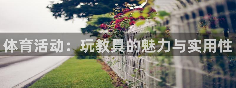 体育活动：玩教具的魅力与实用性