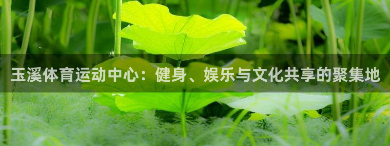 玉溪体育运动中心：健身、娱乐与文化共享的聚集地