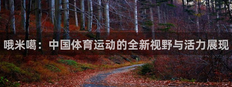 哦米噶：中国体育运动的全新视野与活力展现